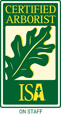 ISA-Certified-Arborist-on-Staff