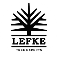 Lefke Logos (200 × 200 px)