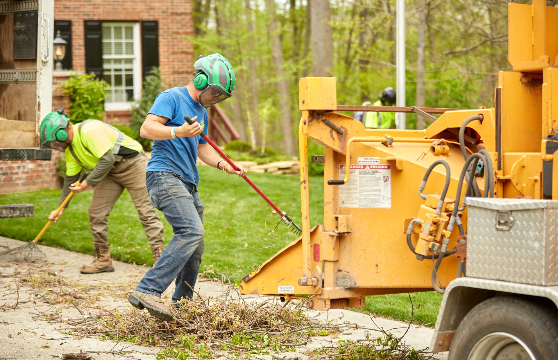 Who’s Responsible for Trees Between Sidewalks and Streets in Cincinnati