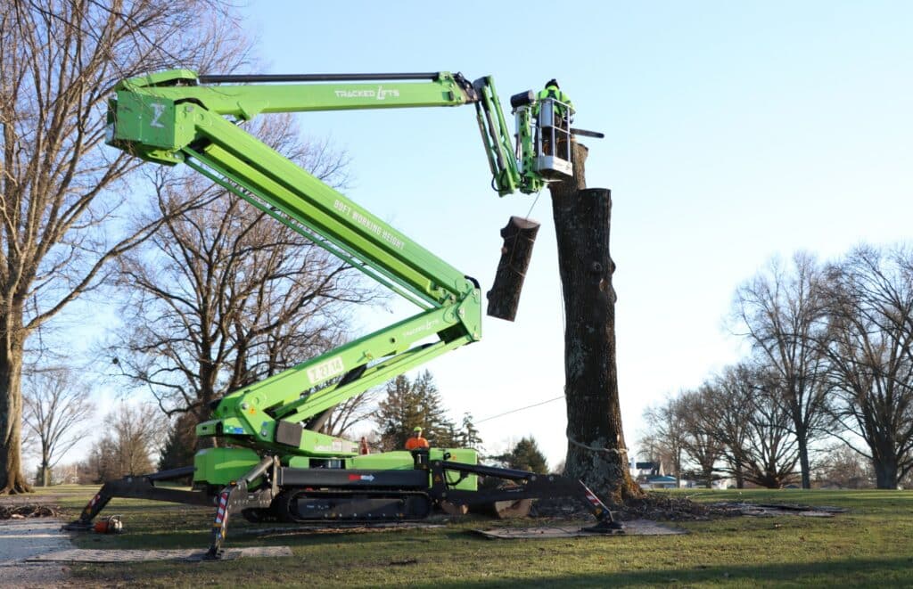 A Lefke Tree Experts spider lift with a grapple saw lowers a section of trunk during a large tree removal in Greater Cincinnati.
