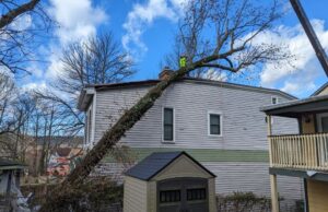 Tree care worker rigging a crane line to a large tree that has fallen onto the roof of a Cincinnati home after a storm, stabilizing it for safe removal.
