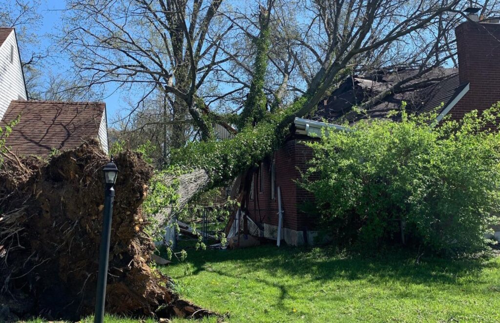 Large tree fallen on a red brick house in Cincinnati, showing severe roof damage after a storm.
