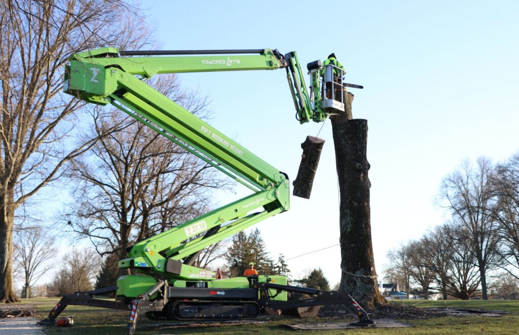 Lefke arborist in a green tracked spider lift removing sections of a large tree trunk, with cut log segments suspended by rigging lines during a professional tree removal job.