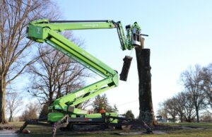 Lefke arborist in a green tracked spider lift removing sections of a large tree trunk, with cut log segments suspended by rigging lines during a professional tree removal job.