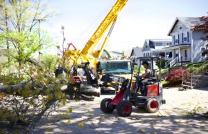 Lefke Tree Experts crew using a yellow crane and compact skid steer to remove a large fallen tree from a residential street in a Cincinnati neighborhood.