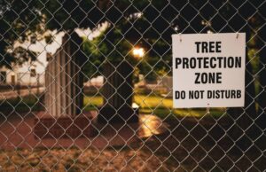 A protective, grey chain-link fence with a white “Tree Protection Zone: Do Not Disturb” sign affixed to it for protecting trees during construction.