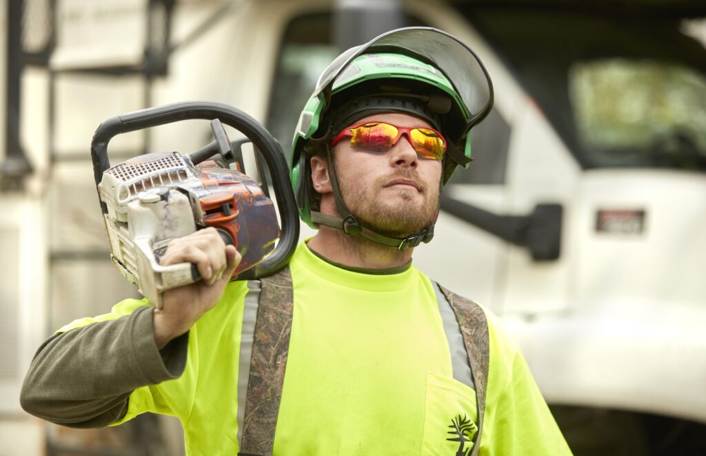 An arborist from Lefke Tree Experts examining a dying tree in Cincinnati, OH.