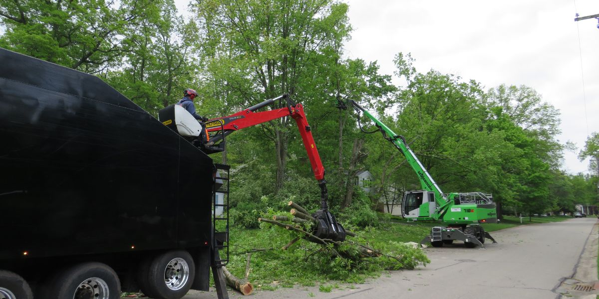 The Lefke team uses a red grabber to lift debris from a tree-line street adjacent tree removal while another Lefke grabber works to remove portions of a standing tree. This is what it's like removing trees between sidewalks and streets.