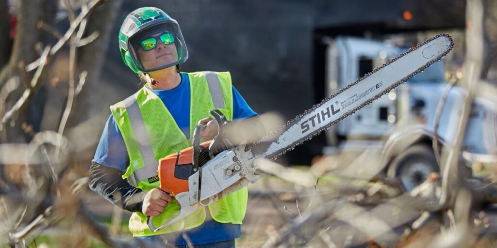 What to Do for a Dying Tree: Pro Tips from Cincinnati Arborists | Lefke ...