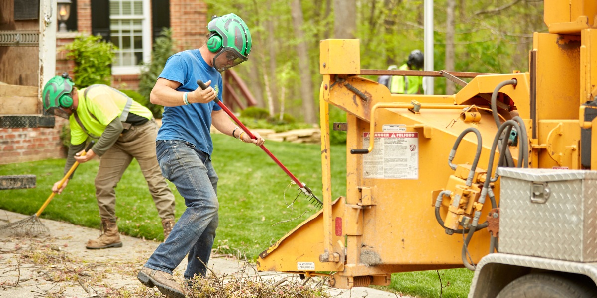 Lefke Tree Experts crew performing professional cleanup after stump grinding in Cincinnati, demonstrating thorough property protection practices.