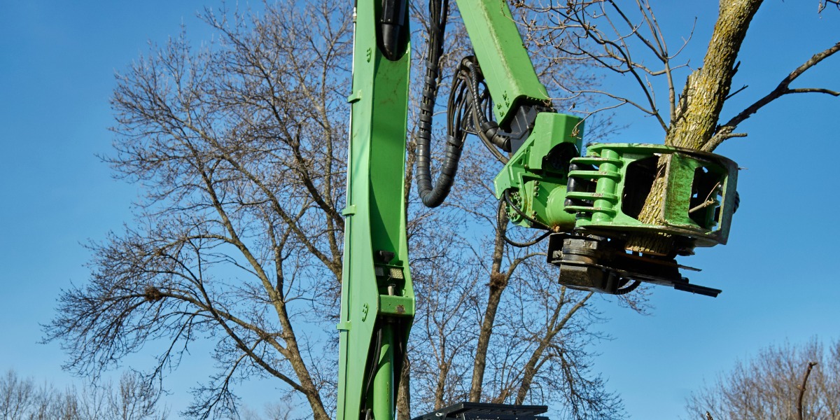 The Lefke Tree Experts grapple saw holding the top section of a cut tree in Newport, OH.