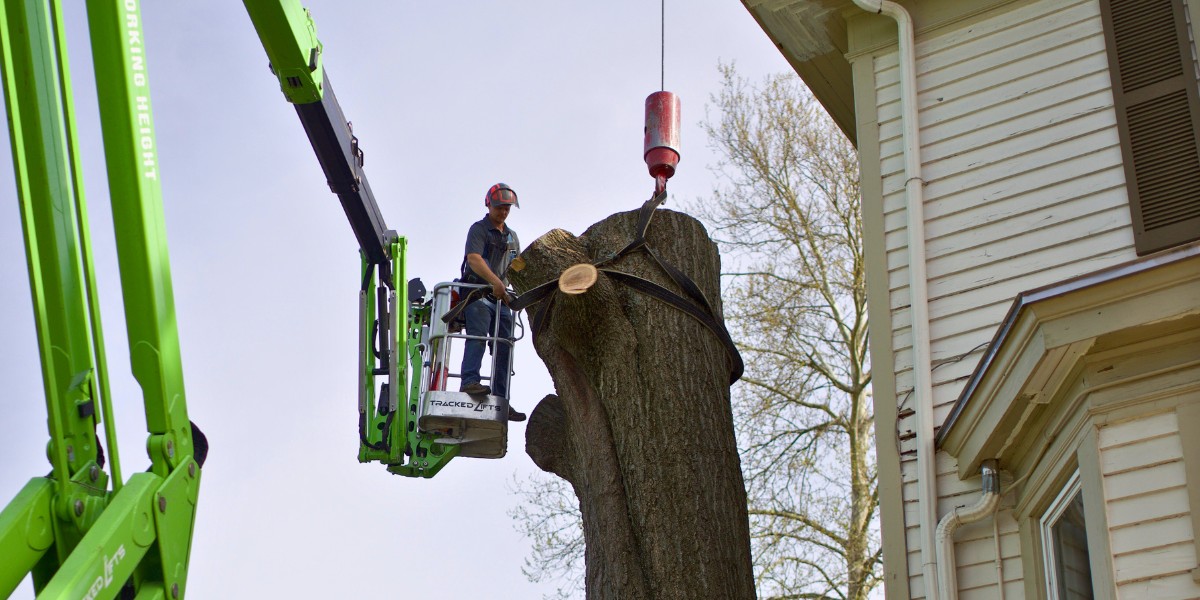 A member of the Lefke tree team in a spider lift attaching a dead tree trunk to a tree removal crane in Loveland, OH