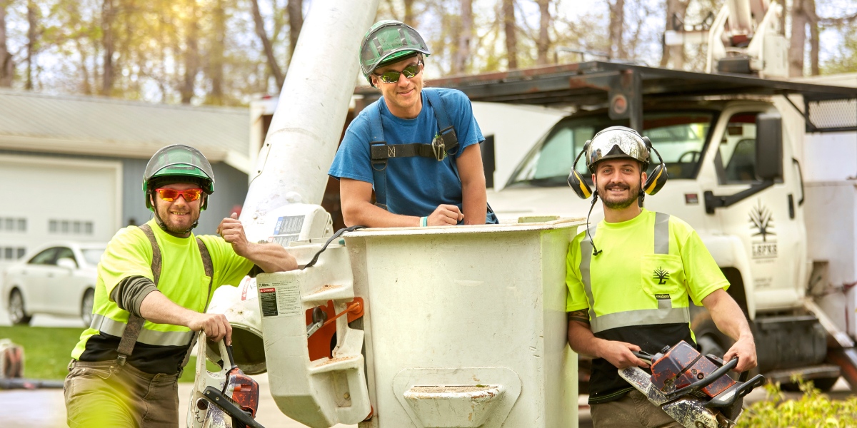 Professional Lefke Tree Experts crew with safety equipment and chainsaws ready for proper tree pruning work in Cincinnati neighborhood.
