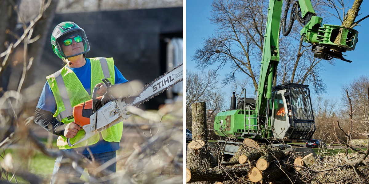 What Should Cincinnati Homeowners Do About Winter Storm Tree Damage This Spring? 3 A Lefke Tree Experts arborist in safety gear holding a chainsaw alongside a grapple saw removing sections of a large storm-damaged tree.