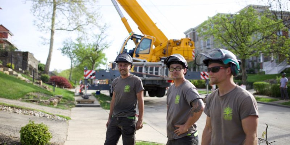 Why Cincinnati Tree Companies Won't Touch Your Tree: 4 Jobs That Require Specialized Equipment 3 Three Lefke Tree Experts crew members wearing hard hats and branded shirts standing on a Cincinnati sidewalk with a yellow crane positioned behind them