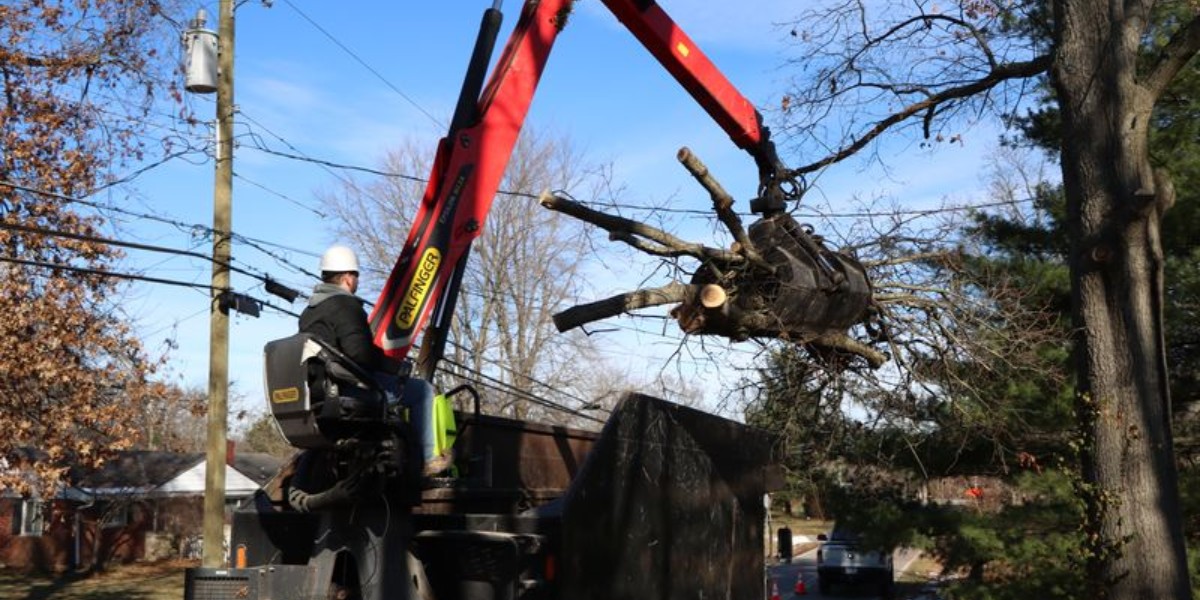 Why Cincinnati Tree Companies Won't Touch Your Tree: 4 Jobs That Require Specialized Equipment 2 Lefke Tree Experts operator using a truck-mounted grapple loader to move cut tree sections near overhead power lines in a Cincinnati residential area.