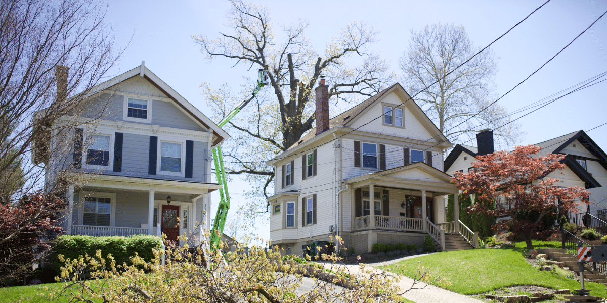 What to Expect with Large Tree Removal in Cincinnati 2 A Lefke Tree Experts spider lift extended into a large tree between two homes in a residential Cincinnati neighborhood.
