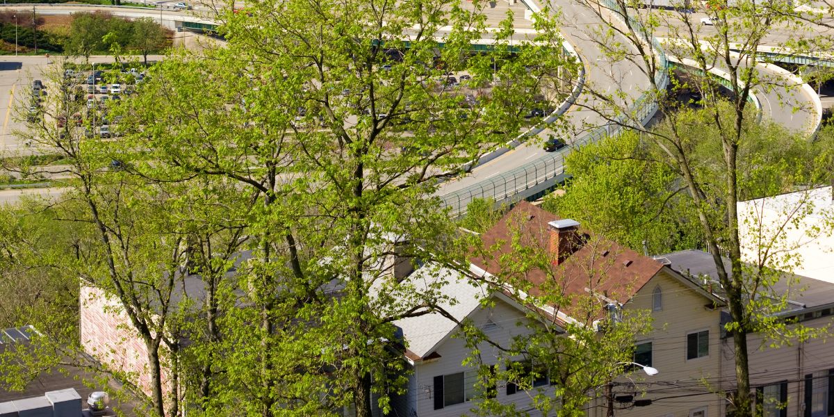 Trees grow near houses, roads, and parking lots in Cincinnati.