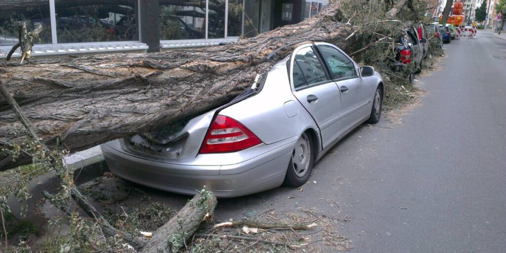 A silver Mercedes-Benz automobile parked on a city street that has been crushed from trunk to hood by a large fallen tree as orange emergency tree equipment sits in the background.