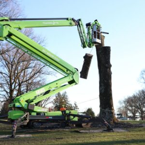 A Lefke Tree Experts spider lift with a grapple saw lowers a section of trunk during a large tree removal in Greater Cincinnati.