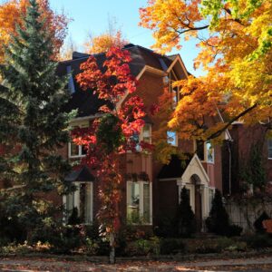 A home near Cincinnati with beautiful trees changing colors in the fall.