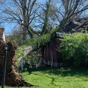 Large tree fallen on a red brick house in Cincinnati, showing severe roof damage after a storm.