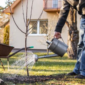 A homeowner watering a newly planted tree in their backyard, near Cincinnati, OH.