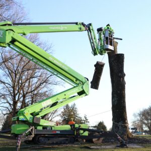 Lefke arborist in a green tracked spider lift removing sections of a large tree trunk, with cut log segments suspended by rigging lines during a professional tree removal job.