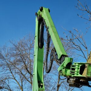 Lefke tree grappler with a tree during a tree removal for preparation for winter in Cincinnati.