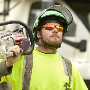 An arborist from Lefke Tree Experts examining a dying tree in Cincinnati, OH.