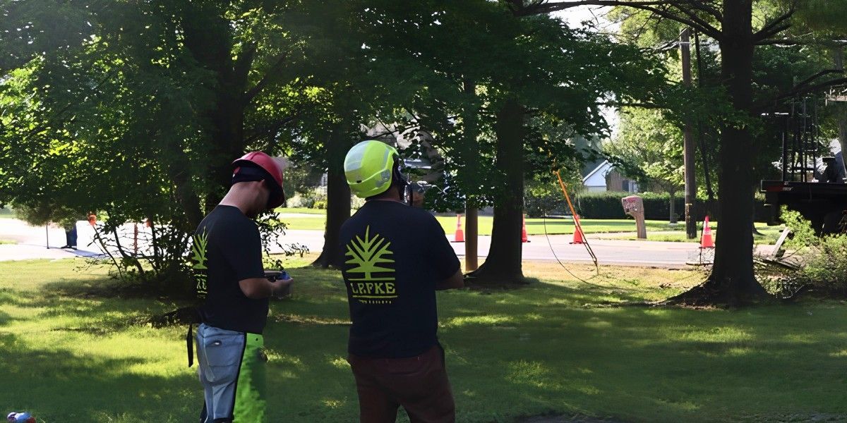 What Tree Work Should You Schedule Before Winter? 3 Two Lefke Tree Experts arborists in hard hats assessing trees in a residential yard.